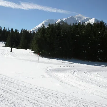 Chalet In Hohentauern Near Ski Lift * Hohentauern